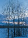 Nature2-007.jpg
